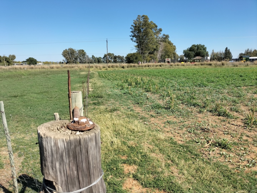 Commercial Property for Sale in Bainsvlei Free State